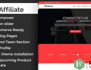 Affiliate Marketing v1.1 – WordPress主题
