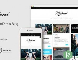 Rinjani v1.6 – 响应式网格博客主题