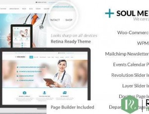 SoulMedic Health v3.2 – 医疗保健主题