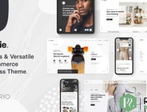 Stockie v1.2.2 – 多用途创意WooCommerce主题