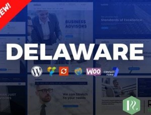 Delaware v1.1.5 – 咨询和财务WordPress主题