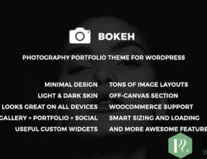 Bokeh v1.2 – WordPress的摄影组合主题