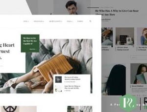 Doris v1.0 – 创意WordPress博客和杂志主题