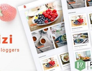 Bizi v2.0.0 – 食品博主的WordPress主题