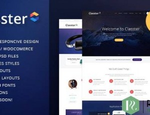 Classter v2.5-多彩的多功能WordPress主题