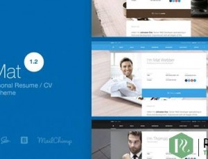 I am Mat v1.2 – 个人简历/简历vCard WordPress主题