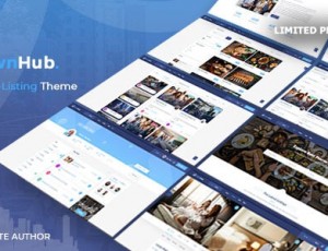 TownHub v1.6.1 -WordPress目录模板