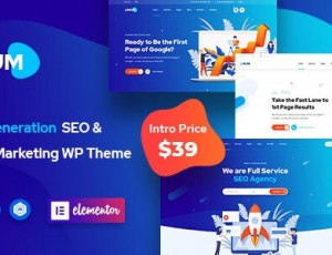 Onum v1.2.6 -用于SEO和市场营销的WordPress主题