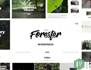 Forester v1.4.2-WordPress极简组合主题