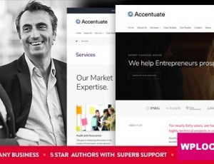 Accentuate v1.1.6-专业咨询WordPress主题