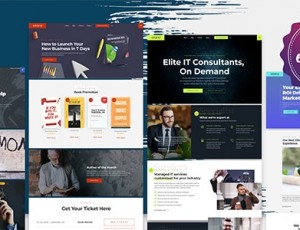 Xpertiz 1.2.41-顾问和专家的WordPress主题