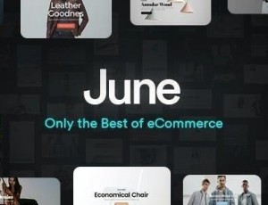 June v1.8.1 – WooCommerce主题
