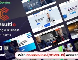 Consultio v2.5.0-企业咨询