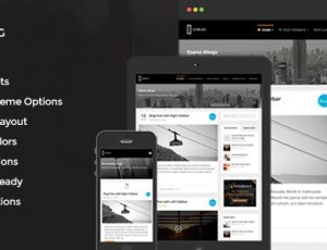 GoBlog v1.6.2-响应式WordPress博客主题