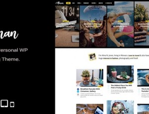 Alinan WP v2.0-个人WordPress博客和Vlog主题