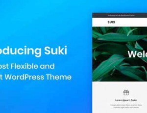 Suki Pro v1.2.10-灵活轻量级WordPress主题