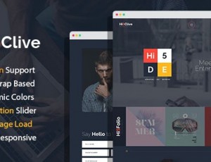 Hi5Clive v1.3.0-数字营销企业家WordPress主题