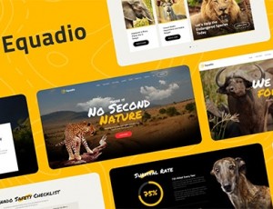 Equadio v1.0.0-非营利性和环境性WordPress主题