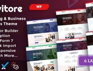 Avitore v1.0-咨询业务WordPress主题
