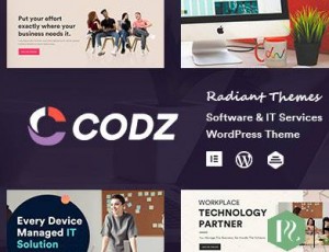 Codz v1.0.4-软件和IT服务主题