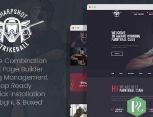 SharpShot v1.0-响应式WordPress主题