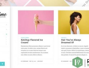 Eskimo v1.7 -最小的个人WordPress博客和商店主题