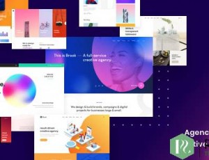 Brook v2.2.0-代理商业务创意WordPress主题