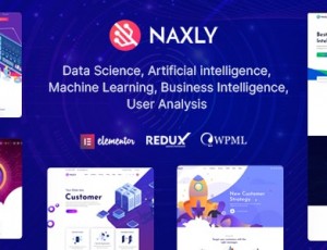 Naxly v1.1-数据科学和分析WordPress主题