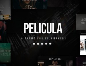 Pelicula v1.0-视频制作和电影主题