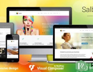 Salbii v3.4-响应式多用途WordPress主题