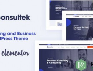 Consultek v1.0.4-咨询业务WordPress主题