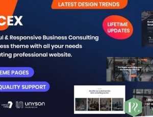 Socex v1.0-咨询和商业WordPress主题