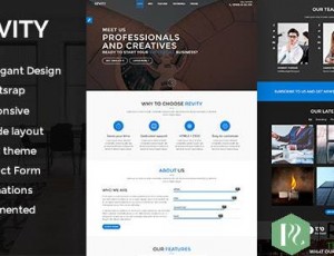 Revity v1.2.4-一页WordPress主题
