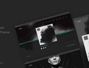 Angio v1.1.1-创意音乐主题