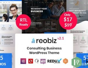 Reobiz v4.6.4-咨询业务WordPress主题