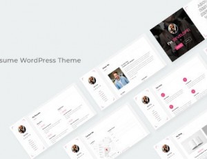 Giza v1.0.0-创意简历WordPress主题