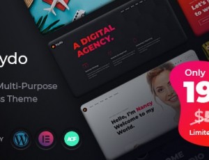 Trydo v1.0.5-Creative Agency＆Portfolio WordPress主题