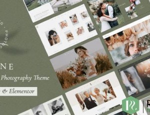 Solene v2.4-婚纱摄影主题