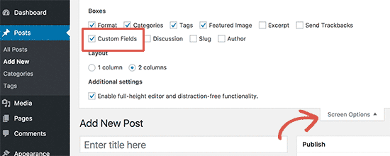 WordPress自定义字段