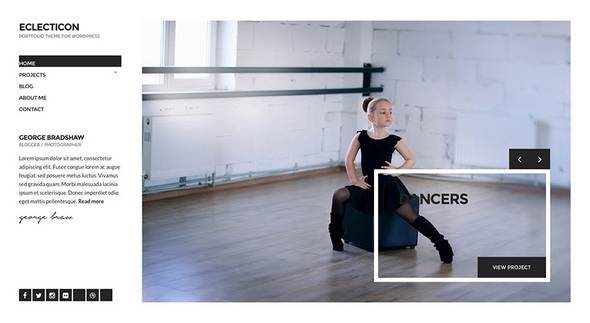 Eclecticon WordPress的投资组合主题