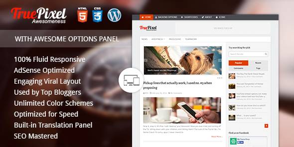 TruePixel - 高级WordPress的博客主题