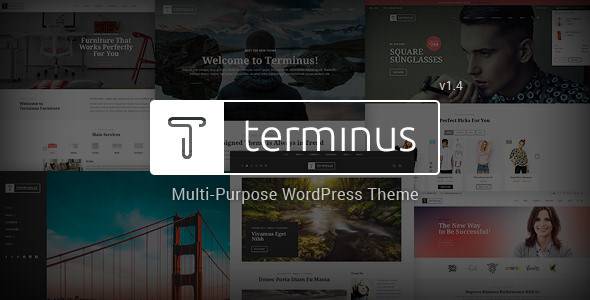 Terminus - 响应式多用途WordPress主题