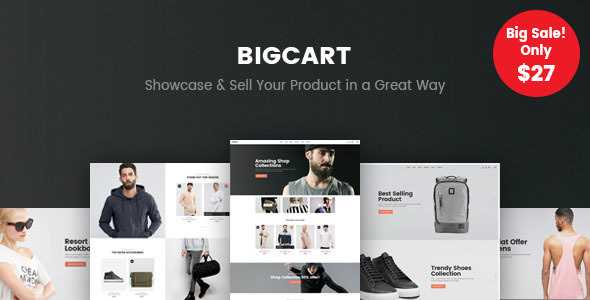 Bigcart - 清洁,WooCommerce现代WordPress主题