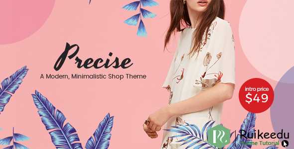 Precise 现代,简约WordPress商店主题