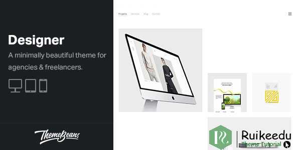 Designer- 专业WordPress组合主题