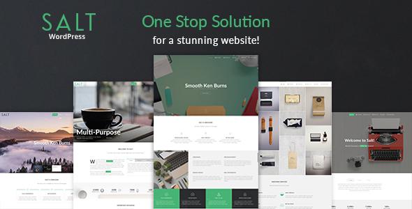 Salt - 响应式多用途WordPress主题