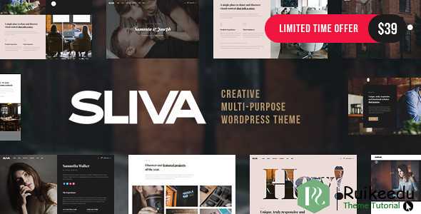Sliva - 响应式多用途主题