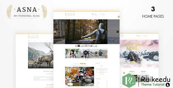 Asna - 创意博客主题