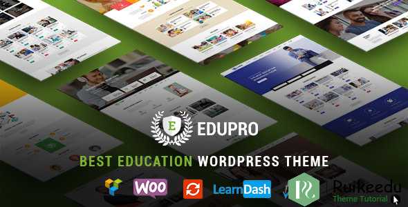 EduPro - 专业WordPress教育主题