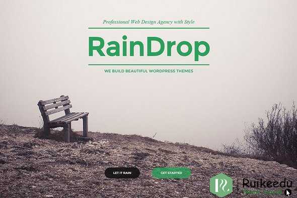 RainDrop - 多功能WordPress主题